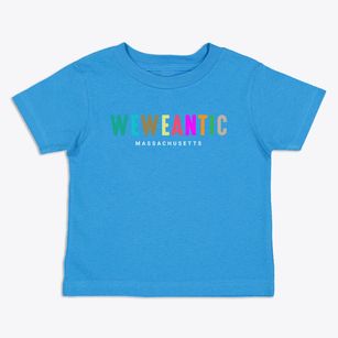 Weweantic Massachusetts Color Pop Toddler T-Shirt