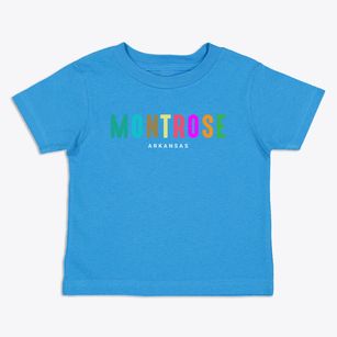 Montrose Arkansas Color Pop Toddler T-Shirt