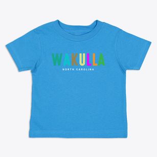 Wakulla North Carolina Color Pop Toddler T-Shirt