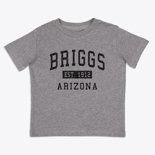 Briggs Arizona Classic Established Toddler T-Shirt