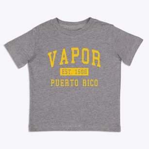 Vapor Puerto Rico Classic Established Toddler T-Shirt