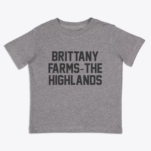 Brittany Farms-the Highlands Pennsylvania Classic Block Toddler T-Shirt
