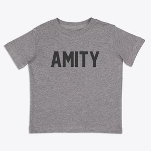 Amity Missouri Classic Block Toddler T-Shirt