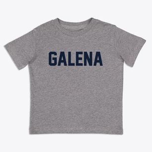 Galena Ohio Classic Block Toddler T-Shirt