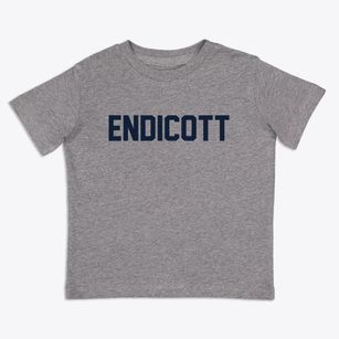 Endicott New York Classic Block Toddler T-Shirt