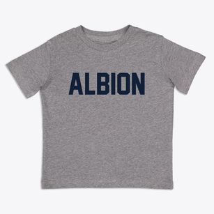 Albion Michigan Classic Block Toddler T-Shirt