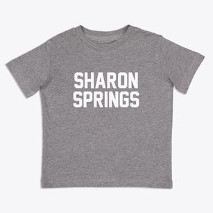 Sharon Springs New York Classic Block Toddler T-Shirt