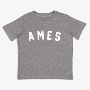 Ames Nebraska Classic Curve Toddler T-Shirt