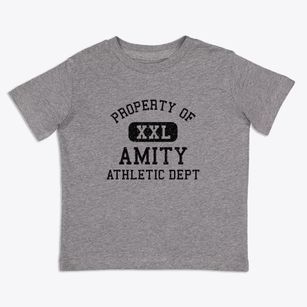 Amity Missouri Athletic Dept Toddler T-Shirt