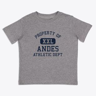 Andes New York Athletic Dept Toddler T-Shirt