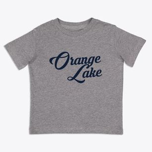 Orange Lake New York Vintage Team Toddler T-Shirt