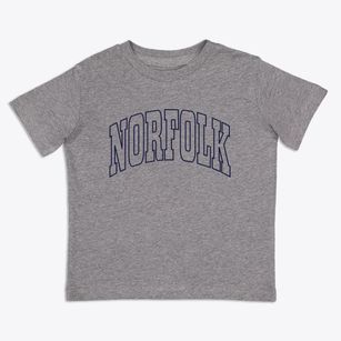Norfolk Virginia Trendy Block Toddler T-Shirt