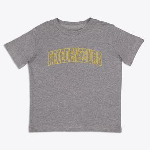 Friedensburg Pennsylvania Trendy Block Toddler T-Shirt