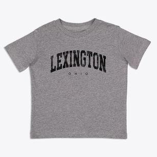 Lexington Ohio Urban Vibe Toddler T-Shirt