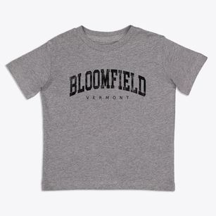 Bloomfield Vermont Urban Vibe Toddler T-Shirt