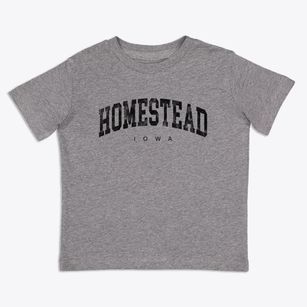 Homestead Iowa Urban Vibe Toddler T-Shirt