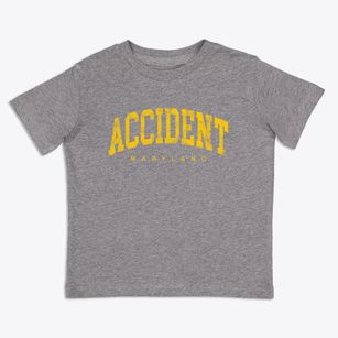 Accident Maryland Urban Vibe Toddler T-Shirt