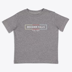 Brasher Falls New York Artbox Toddler T-Shirt