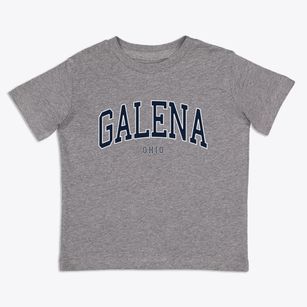 Galena Ohio Traditional Toddler T-Shirt
