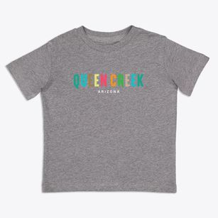 Queen Creek Arizona Color Pop Toddler T-Shirt
