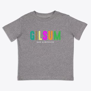 Gilsum New Hampshire Color Pop Toddler T-Shirt