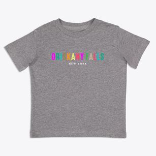 Oriskany Falls New York Color Pop Toddler T-Shirt