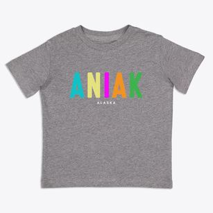 Aniak Alaska Color Pop Toddler T-Shirt