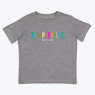 Templeville Maryland Color Pop Toddler T-Shirt