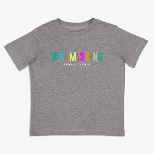 Wyomissing Pennsylvania Color Pop Toddler T-Shirt