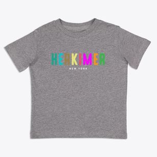 Herkimer New York Color Pop Toddler T-Shirt