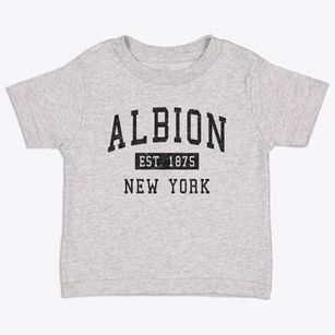 Albion New York Classic Established Toddler T-Shirt