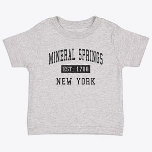 Mineral Springs New York Classic Established Toddler T-Shirt