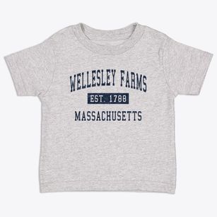 Wellesley Farms Massachusetts Classic Established Toddler T-Shirt