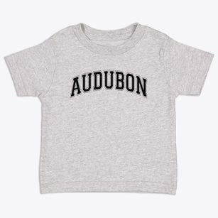 Audubon High School Varsity Arch Toddler T-Shirt
