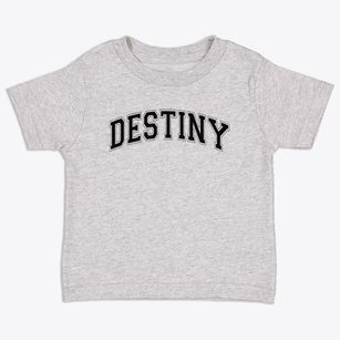 Destiny Christian School Varsity Arch Toddler T-Shirt
