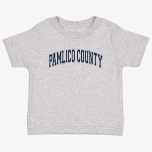 Pamlico County Primary School Varsity Arch Toddler T-Shirt