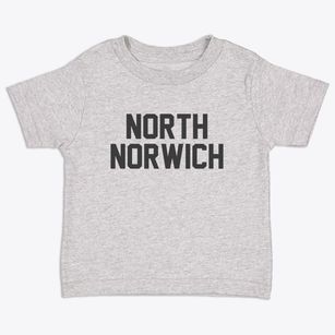 North Norwich New York Classic Block Toddler T-Shirt