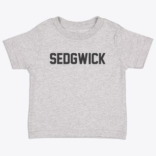 Sedgwick Kansas Classic Block Toddler T-Shirt