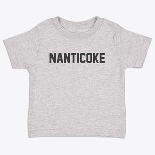 Nanticoke New York Classic Block Toddler T-Shirt