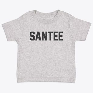 Santee South Carolina Classic Block Toddler T-Shirt