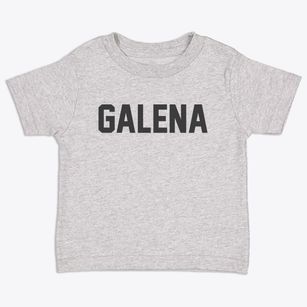 Galena Missouri Classic Block Toddler T-Shirt