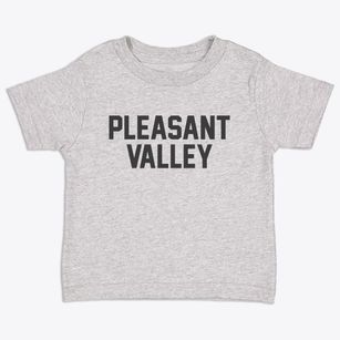 Pleasant Valley New York Classic Block Toddler T-Shirt