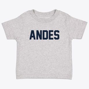 Andes New York Classic Block Toddler T-Shirt
