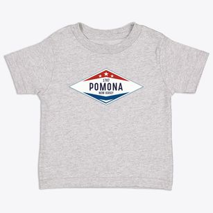 Pomona New Jersey Diamond Star Toddler T-Shirt