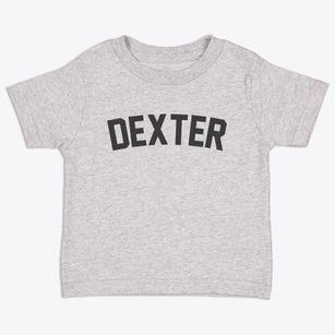 Dexter Michigan Classic Curve Toddler T-Shirt
