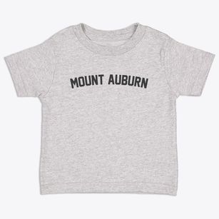 Mount Auburn Illinois Classic Curve Toddler T-Shirt