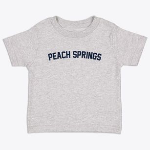 Peach Springs Arizona Classic Curve Toddler T-Shirt