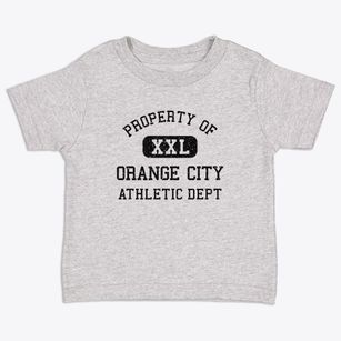 Orange City Iowa Athletic Dept Toddler T-Shirt