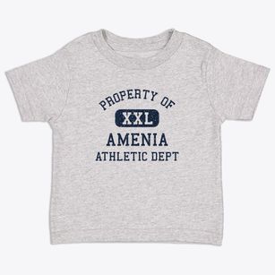 Amenia New York Athletic Dept Toddler T-Shirt