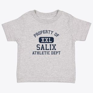 Salix Pennsylvania Athletic Dept Toddler T-Shirt